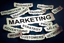 Marketing Action Plans for Business Owners not Born Marketers!