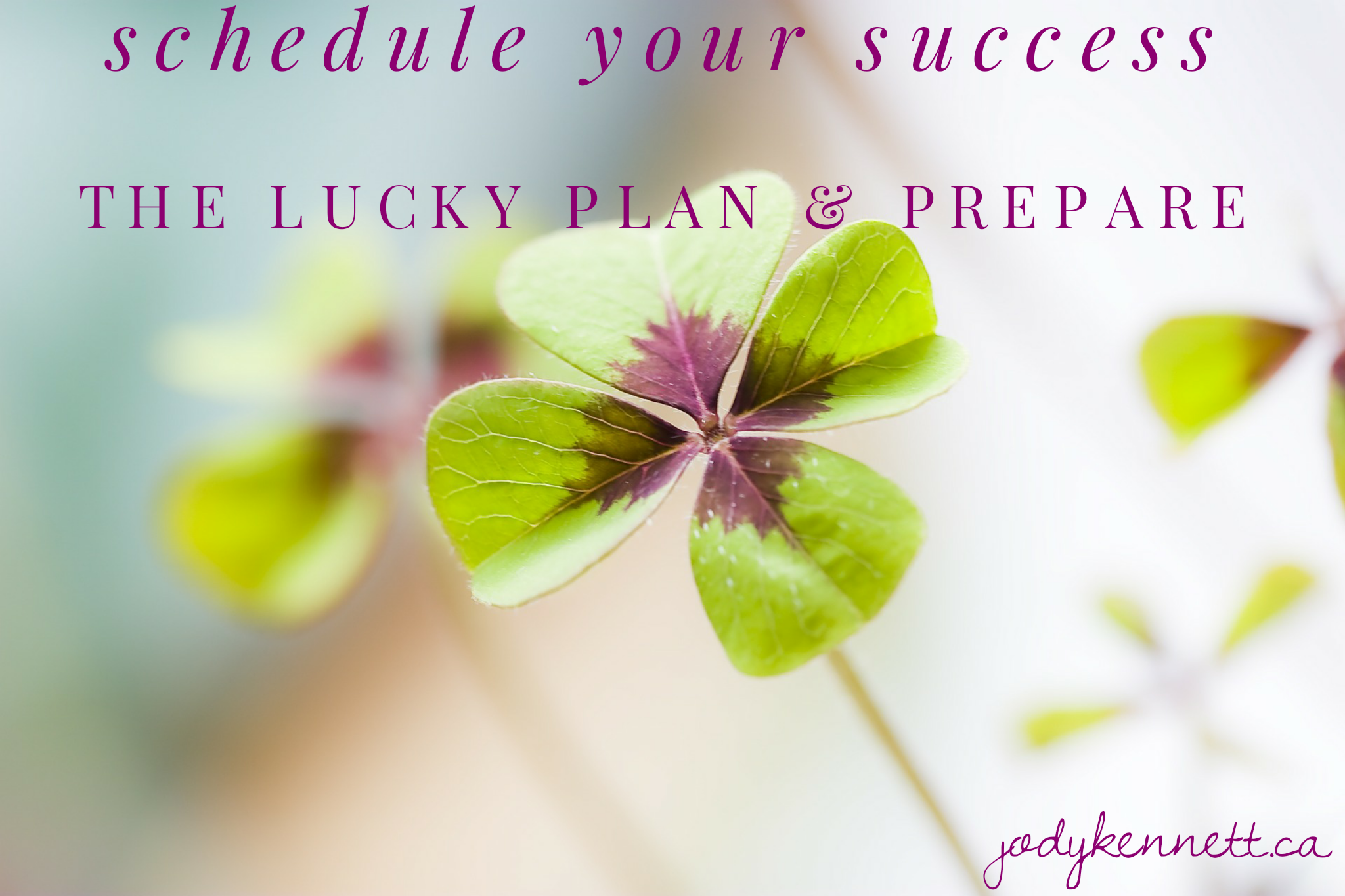 Business Plans for Success – Fall Success Schedule